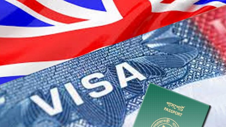 visa professional